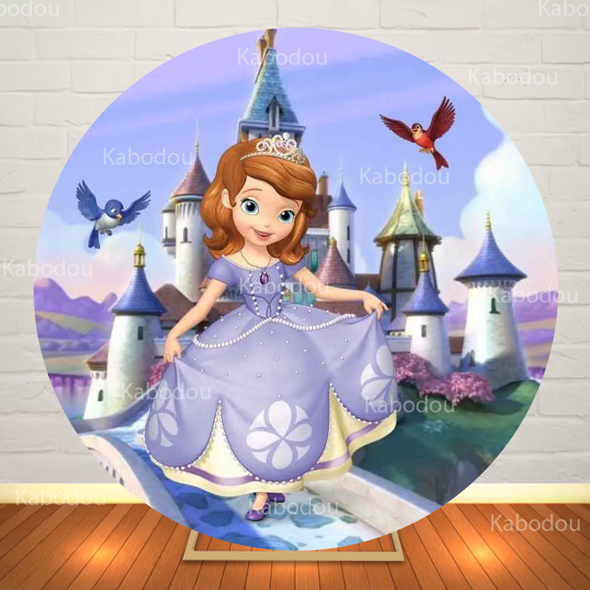 ソフィア・ザ・ファーストラウンド背景幕 赤ちゃんの誕生日パー - Photography Aesthetic のレビューと価格