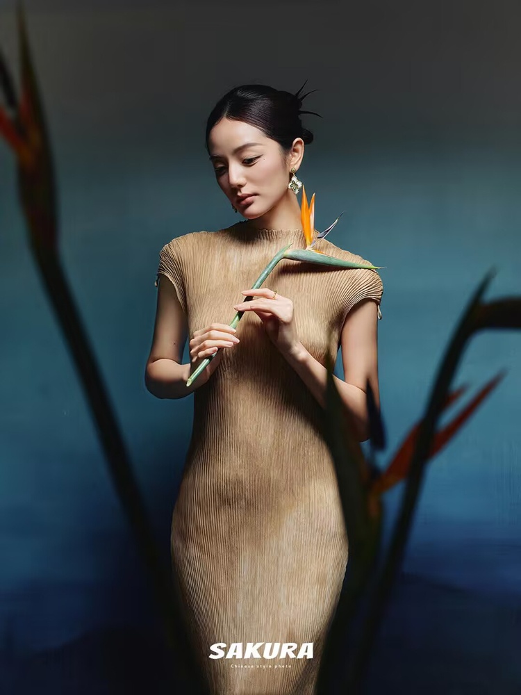 新しい2026年中国風ポートレート写真撮影服冷たい雰囲気スタ - Photography Aesthetic のレビューと価格