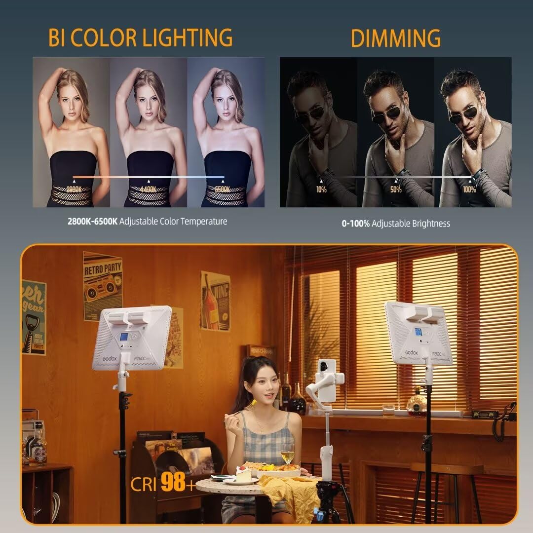 Godox P260C Pro LED ビデオライトパネル  - Video Led Light Panel のレビューと価格